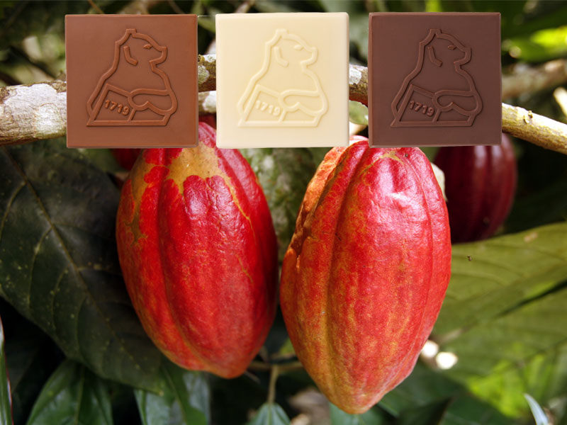 Qualitätssicherung - für einwandfreie Produkte